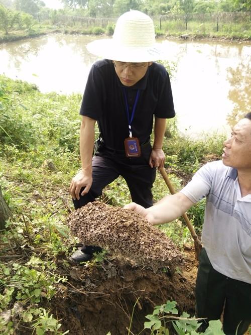 白蚁灭治及预防_服务项目_武汉升华白蚁防治