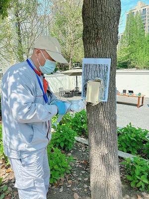 安装饵站、配置药液、辨析蚁种…申城灭蚁能手"论剑"