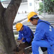 佛山益民白蚁防治中心