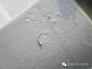 涂装过程常见的缺陷及防治 三 涂层夹砂 剥落脱皮