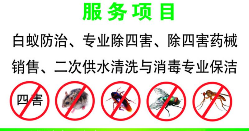 潍坊昌乐寿光临朐专业捉老鼠灭蟑螂蚊蝇蚂蚁等害虫包年服务