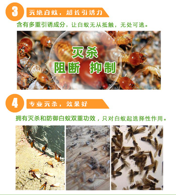 卫士威白蚁药白蚁粉 装修白蚁防治杀白蚁整巢端 1%氟虫腈灭白蚁药
