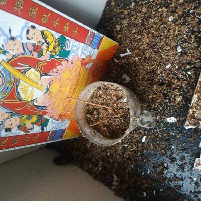 南昌白蚁防治中心,白蚁灭杀,洁鹏白蚁防治所 ,除白蚁