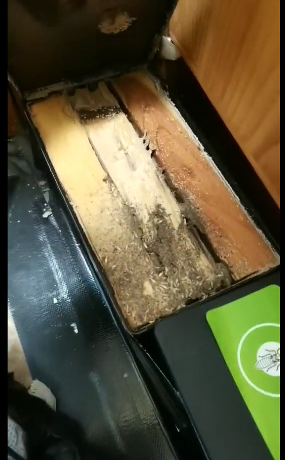 乳白蚁散白蚁监测诱杀装置地上型诱杀盒防治房屋堤坝树木白蚁危害