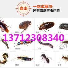 东莞白蚁防治中心 供应产品